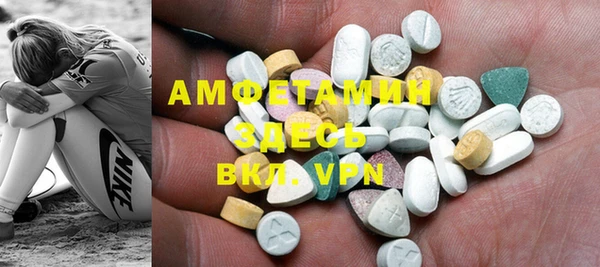 индика Грязи