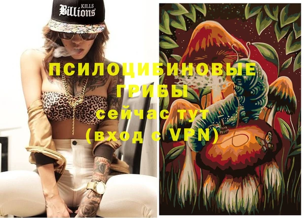 mix Грязовец